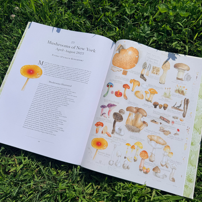 Open botanical album of plant families featuring detailed illustrations and labels, published by Botanical Arts Press LLC.