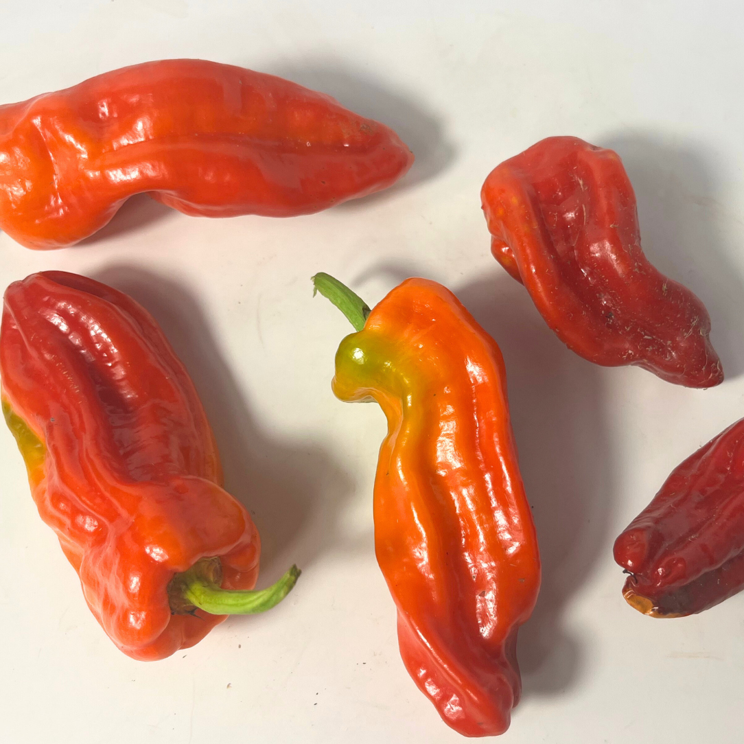 Aleppo Pepper