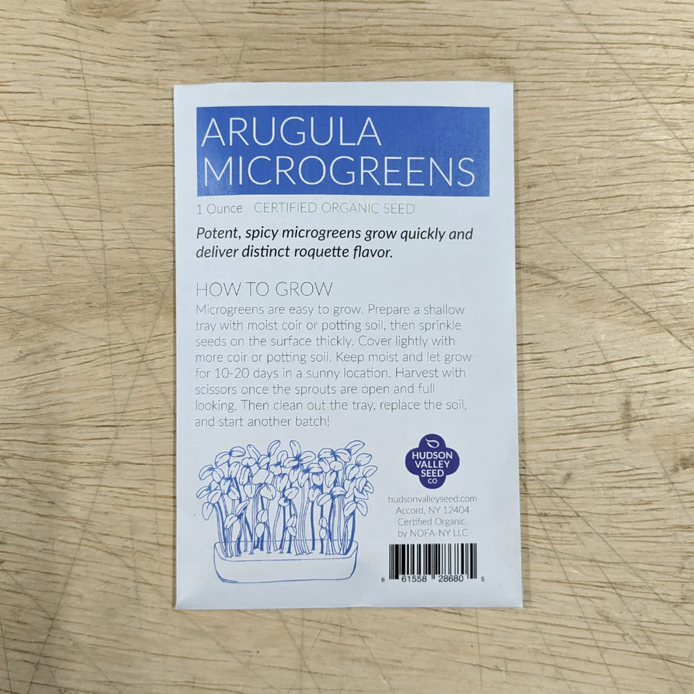 Fresh arugula microgreens in a Hudson Valley Seed Co. microgreens starter kit, showcasing vibrant green vegetable microgreens.