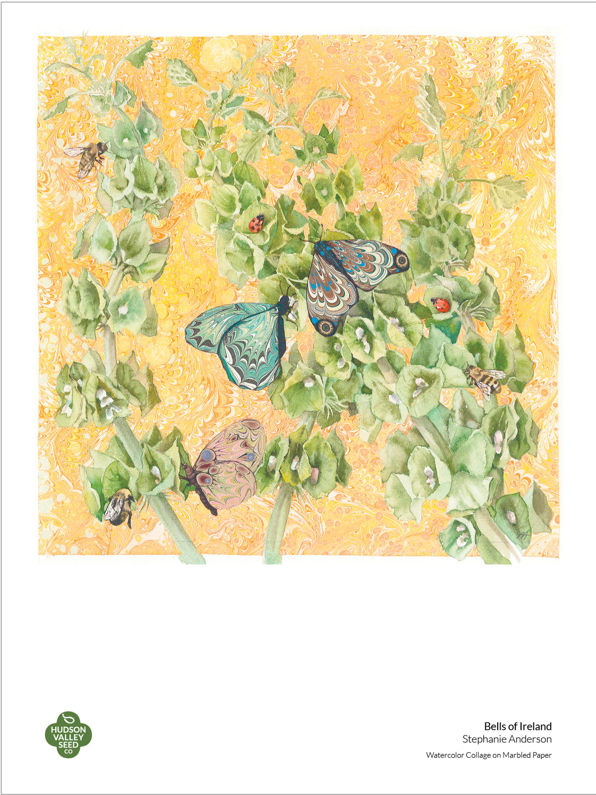 Fine art poster featuring Bells of Ireland flowers by Hudson Valley Seed Co. with vibrant botanical illustrations.