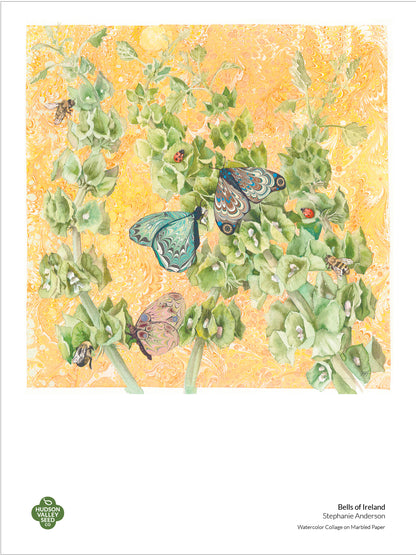 Fine art poster featuring Bells of Ireland flowers by Hudson Valley Seed Co. with vibrant botanical illustrations.