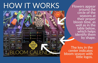 Fine art Bloom Calendar poster by Hudson Valley Seed Co. showing bloom guide and planting tips in a colorful, detailed design.