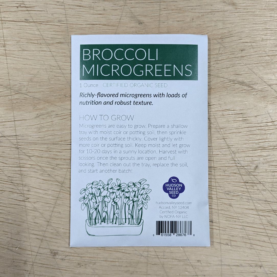 Fresh organic broccoli microgreens from Hudson Valley Seed Co., vibrant green vegetable microgreens on a white background.