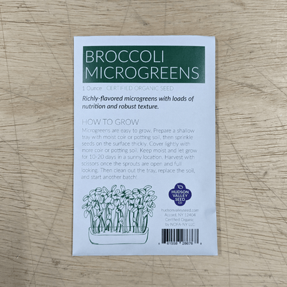 Fresh organic broccoli microgreens from Hudson Valley Seed Co., vibrant green vegetable microgreens on a white background.