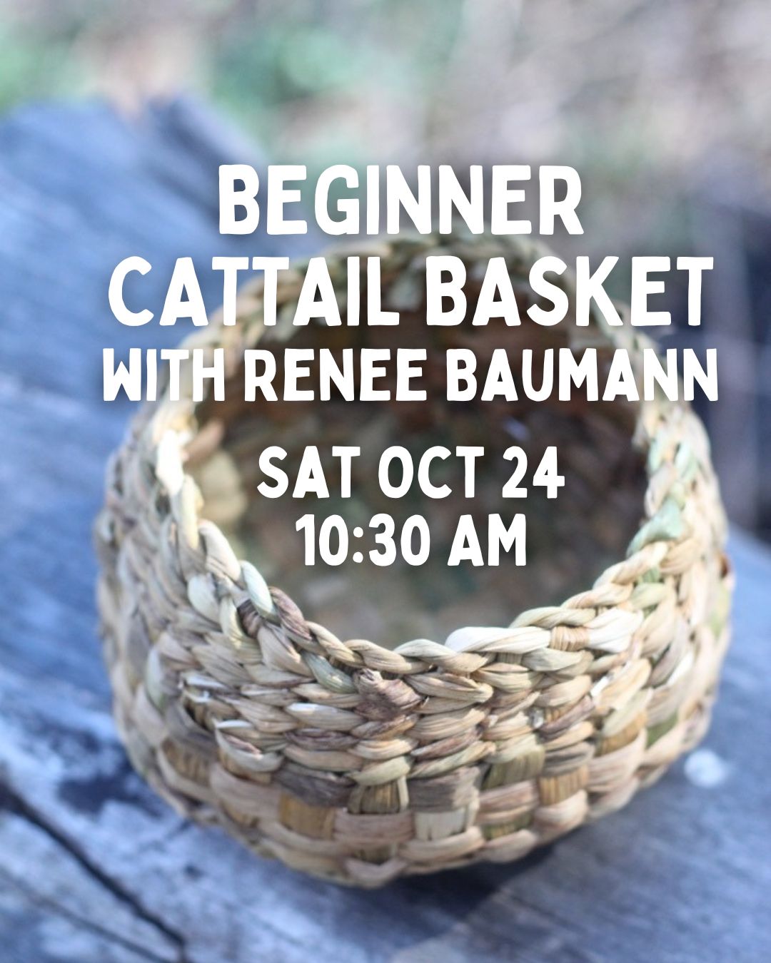 Beginner cattail basket crafted by Renee Baumann, displayed with natural cattails and woven handle, for a craft event.
