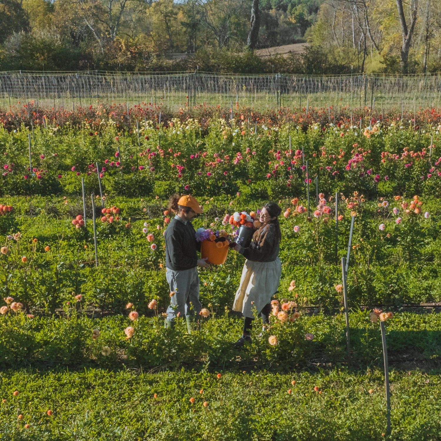 Pick Your Own Flower Bouquet