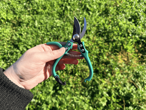 Colorgrip pruners by Hudson Valley Seed Company, handheld garden cutting tool with ergonomic grip