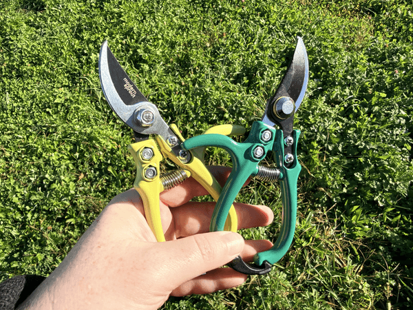 Colorgrip pruners by Hudson Valley Seed Company, handheld garden cutting tools with ergonomic grips