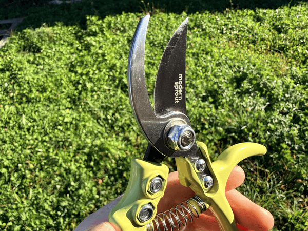 Colorgrip pruners by Hudson Valley Seed Company, garden hand tool with ergonomic grip and sharp cutting blades