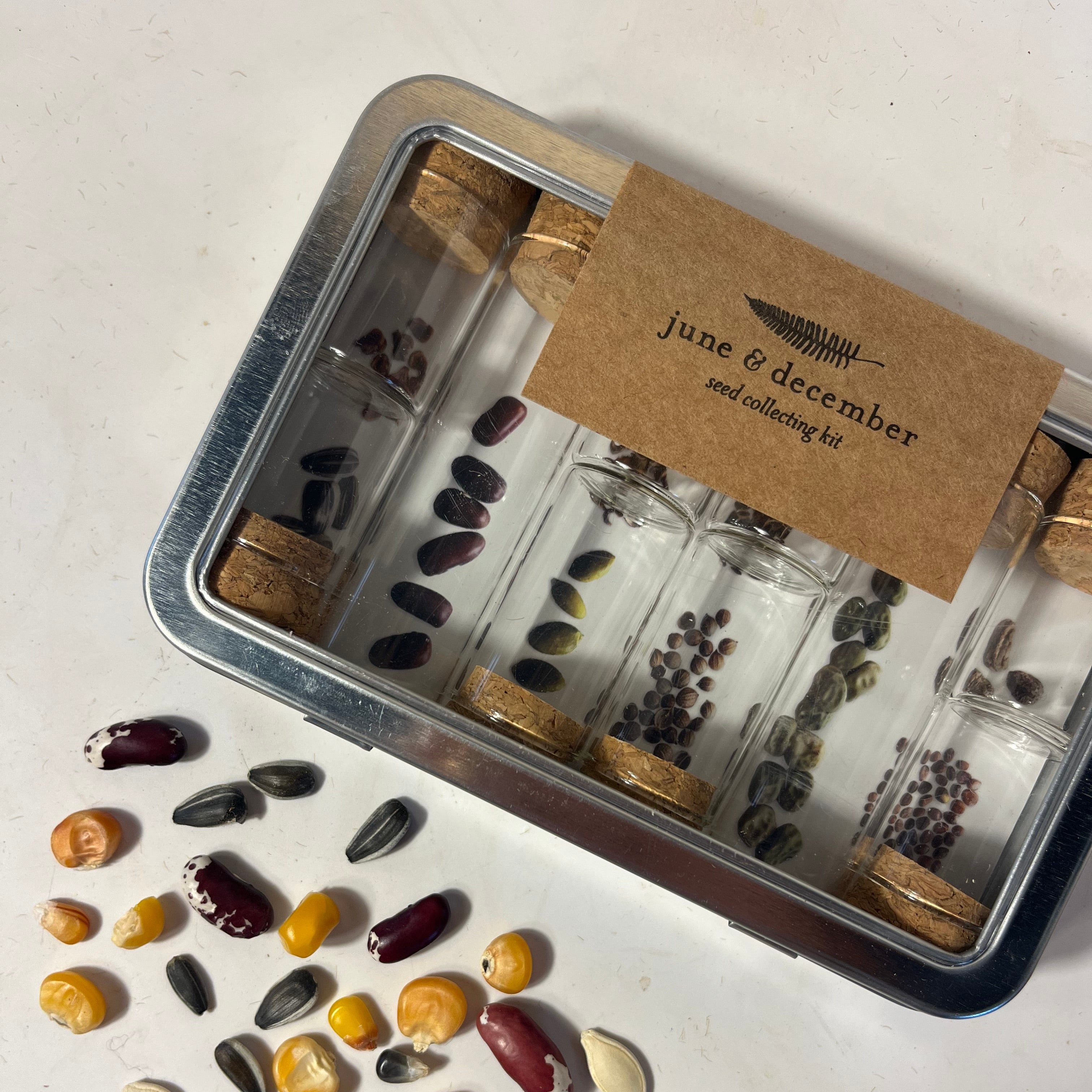 Seed saving kit from Vendor-Unknown, includes seed packets and tools for collecting and storing garden seeds.