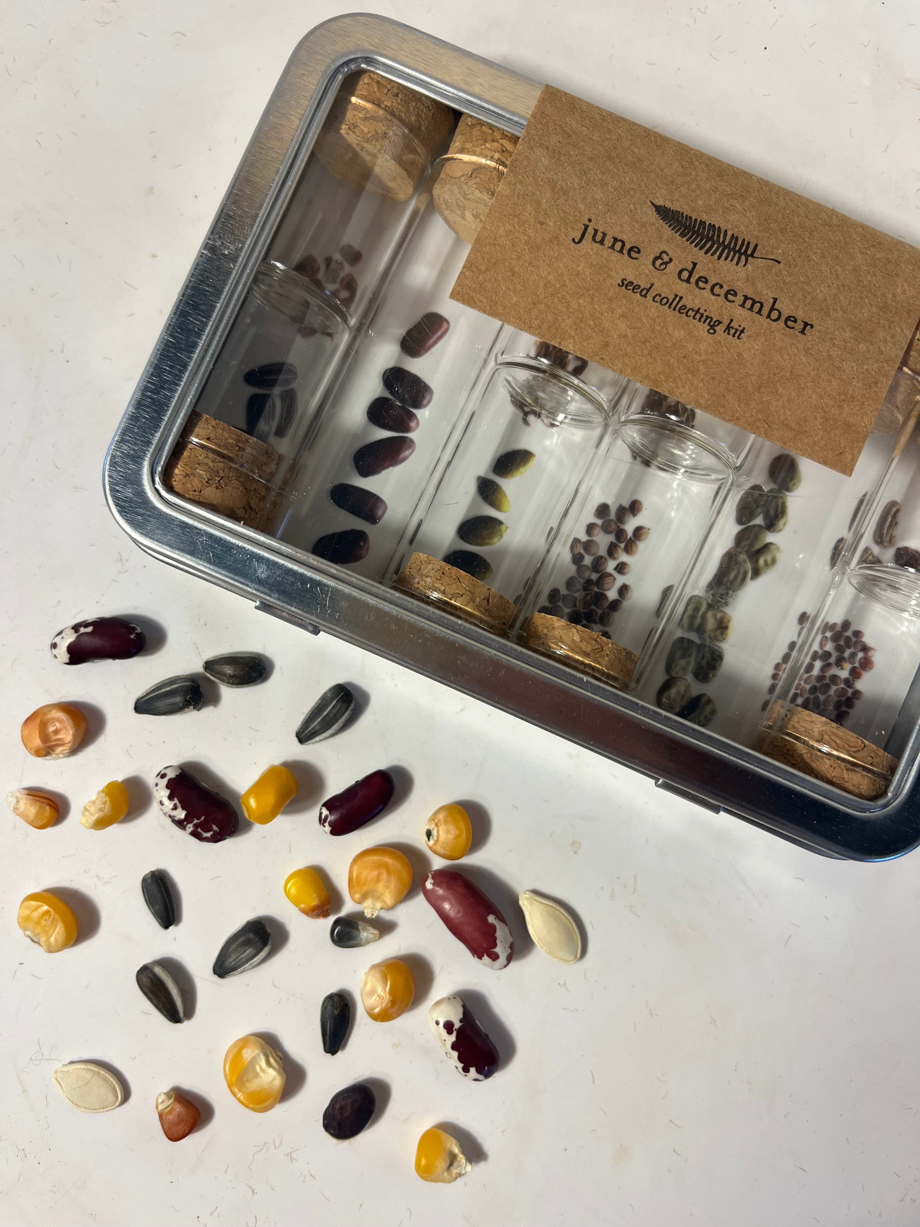 Seed saving kit from vendor-unknown with containers, labels, and tools for collecting and storing seeds for gardening.