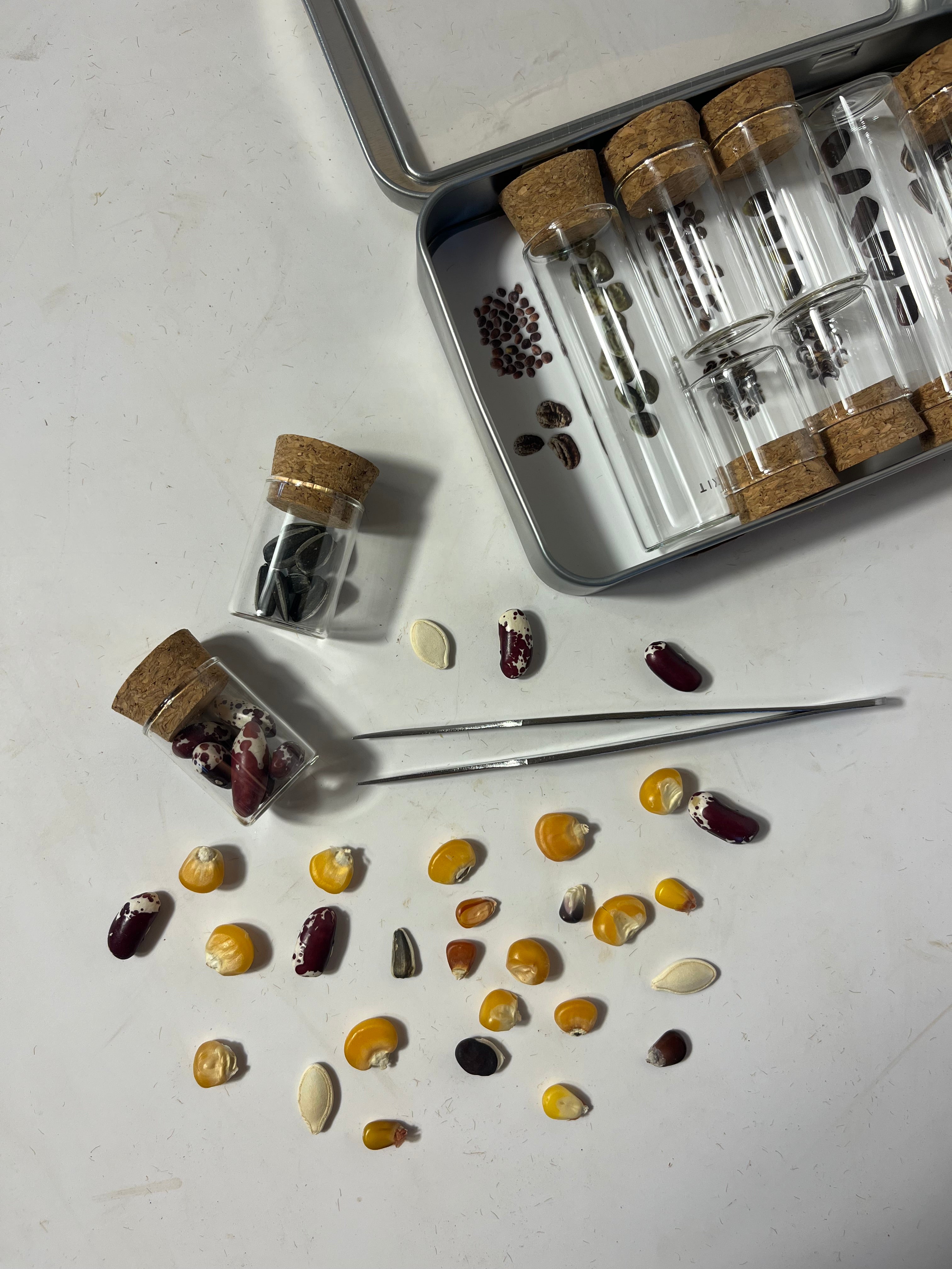 Seed saving kit from vendor-unknown featuring tools and supplies for collecting and storing seeds, ideal for gardening enthusiasts.
