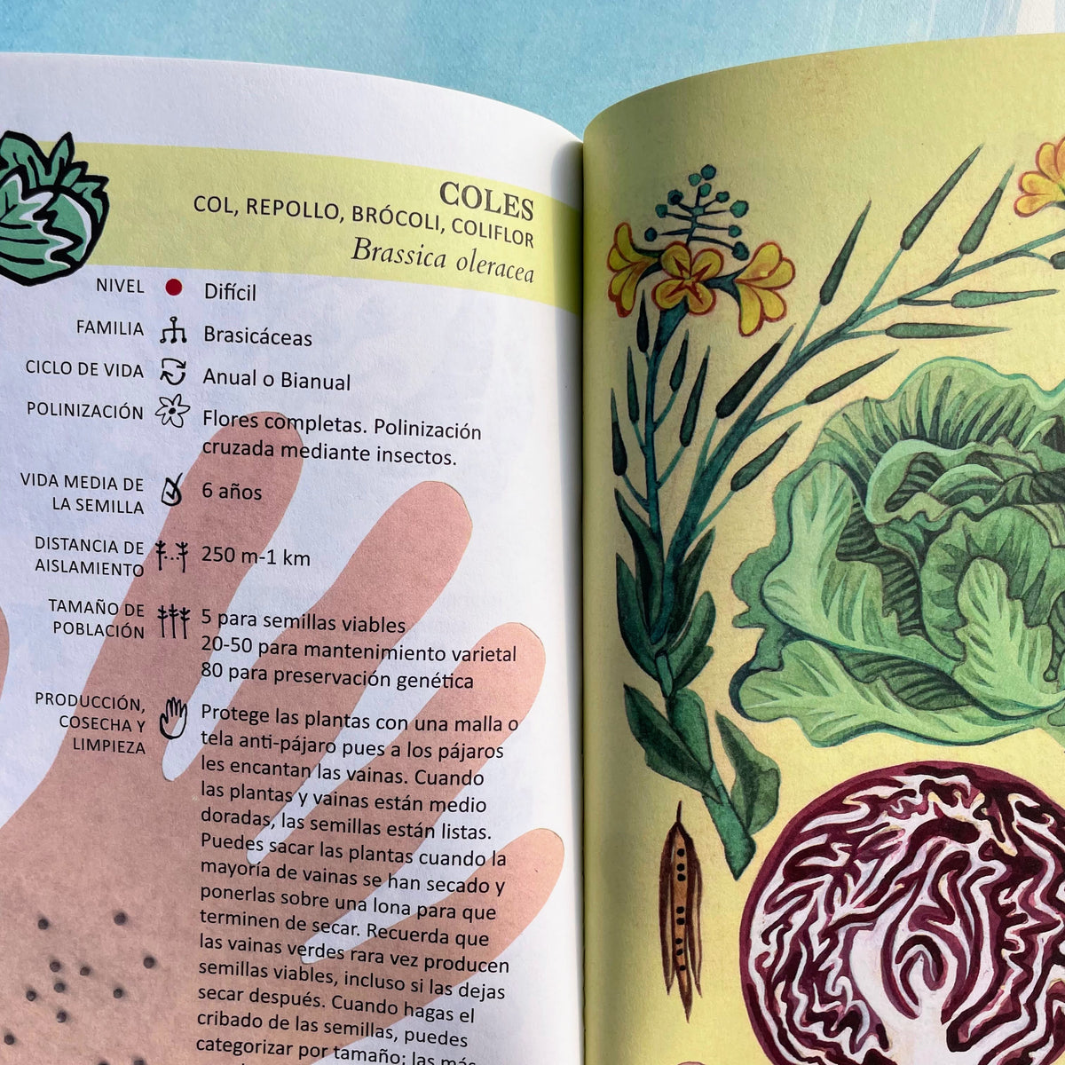 Spanish seed saving manual from Semillas Para Todos, showing pages open with seed storage and planting tips.