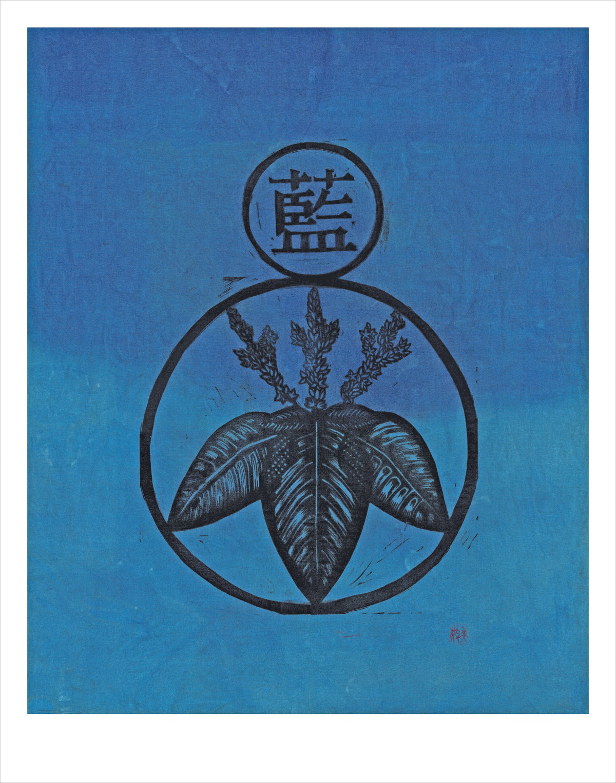 Japanese Indigo art print by Hudson Valley Seed Co., fine art print featuring traditional blue indigo design, signed for authenticity.