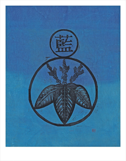 Japanese Indigo art print by Hudson Valley Seed Co., fine art print featuring traditional blue indigo design, signed for authenticity.