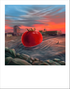 Signed Jersey Breeze tomato art print by Hudson Valley Seed Co., vibrant fine art illustration of ripe tomatoes on a white background.