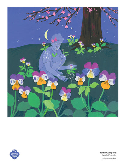 Fine art poster featuring a Johnny Jump-Up flower, by Hudson Valley Seed Co., showcasing vibrant botanical artwork.