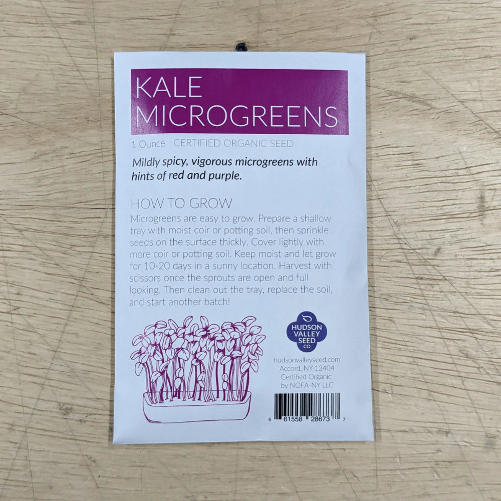 Hudson Valley Seed Co. Microgreens Starter Kit with vibrant kale microgreens growing in a container.