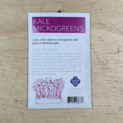 Hudson Valley Seed Co. Microgreens Starter Kit with vibrant kale microgreens growing in a container.