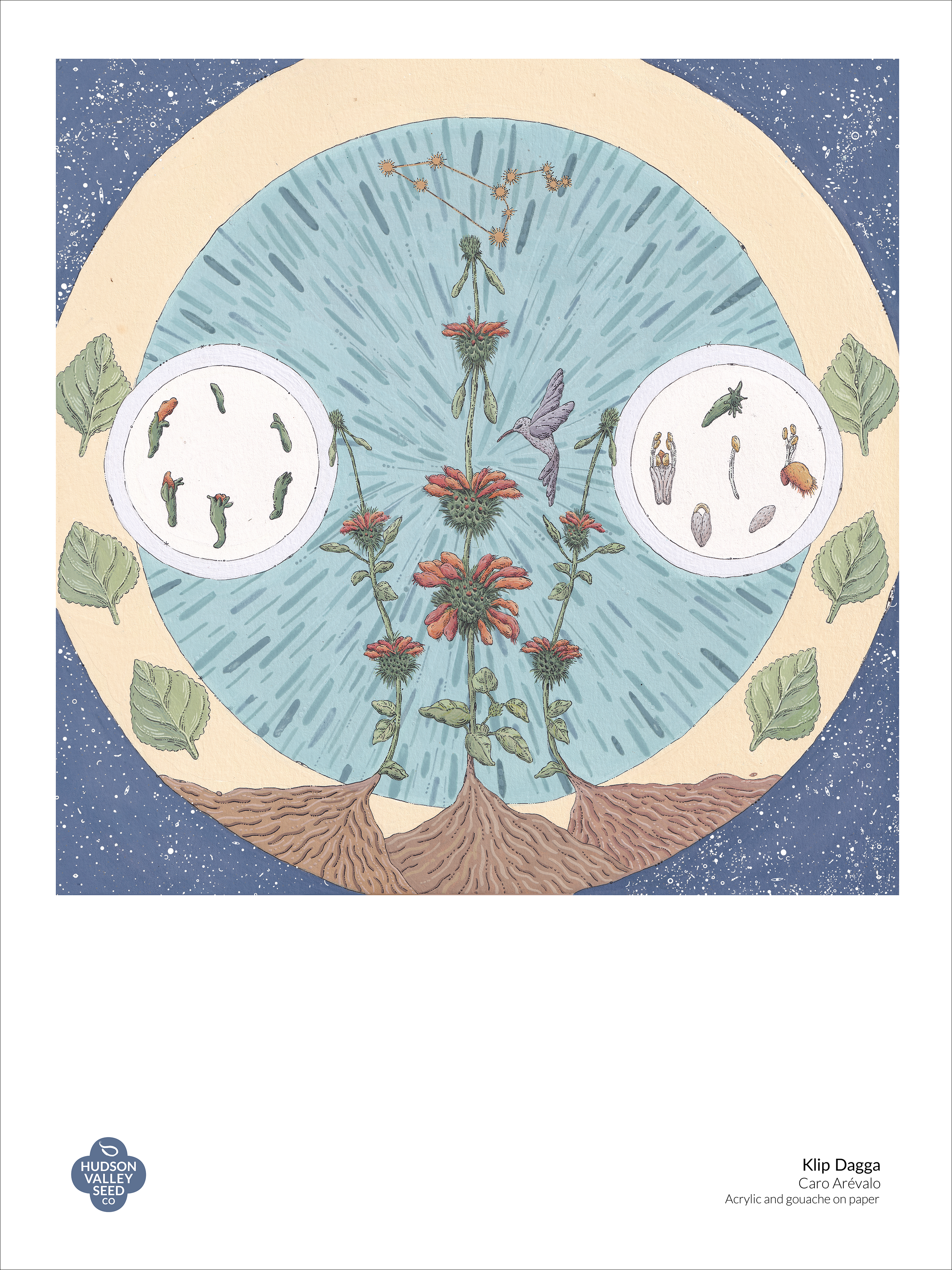 Klip Dagga Fine Art Poster