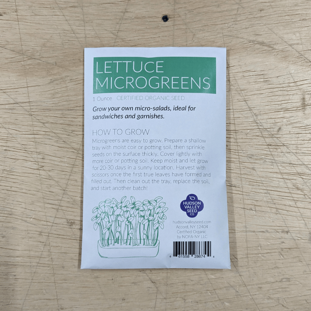 Organic lettuce microgreens from Hudson Valley Seed Co., fresh green vegetable microgreens ready for culinary use.