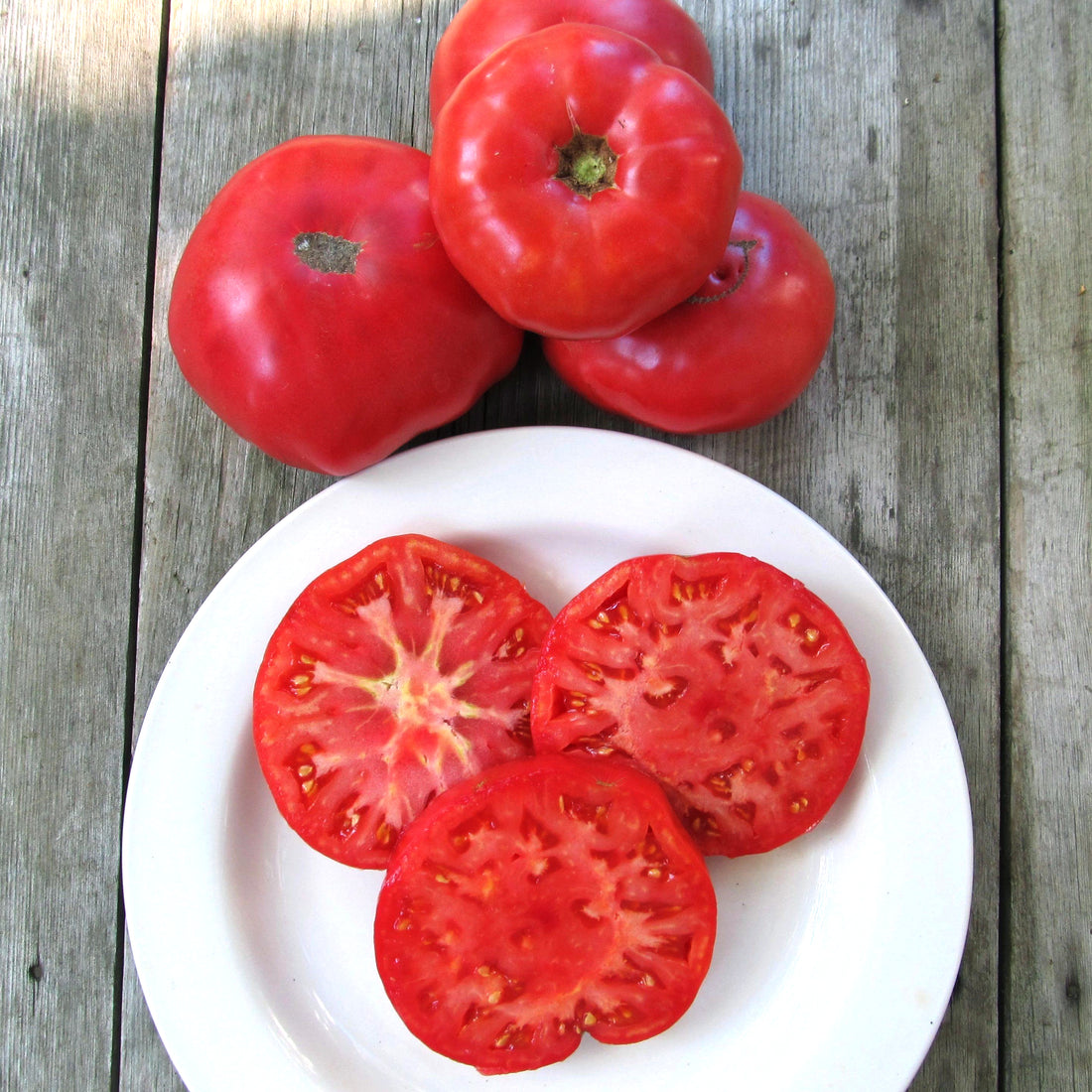 Fresh Mortgage Lifter Tomato from Hudson Valley Seed Co., showcasing its large, ripe red fruit on the plant.