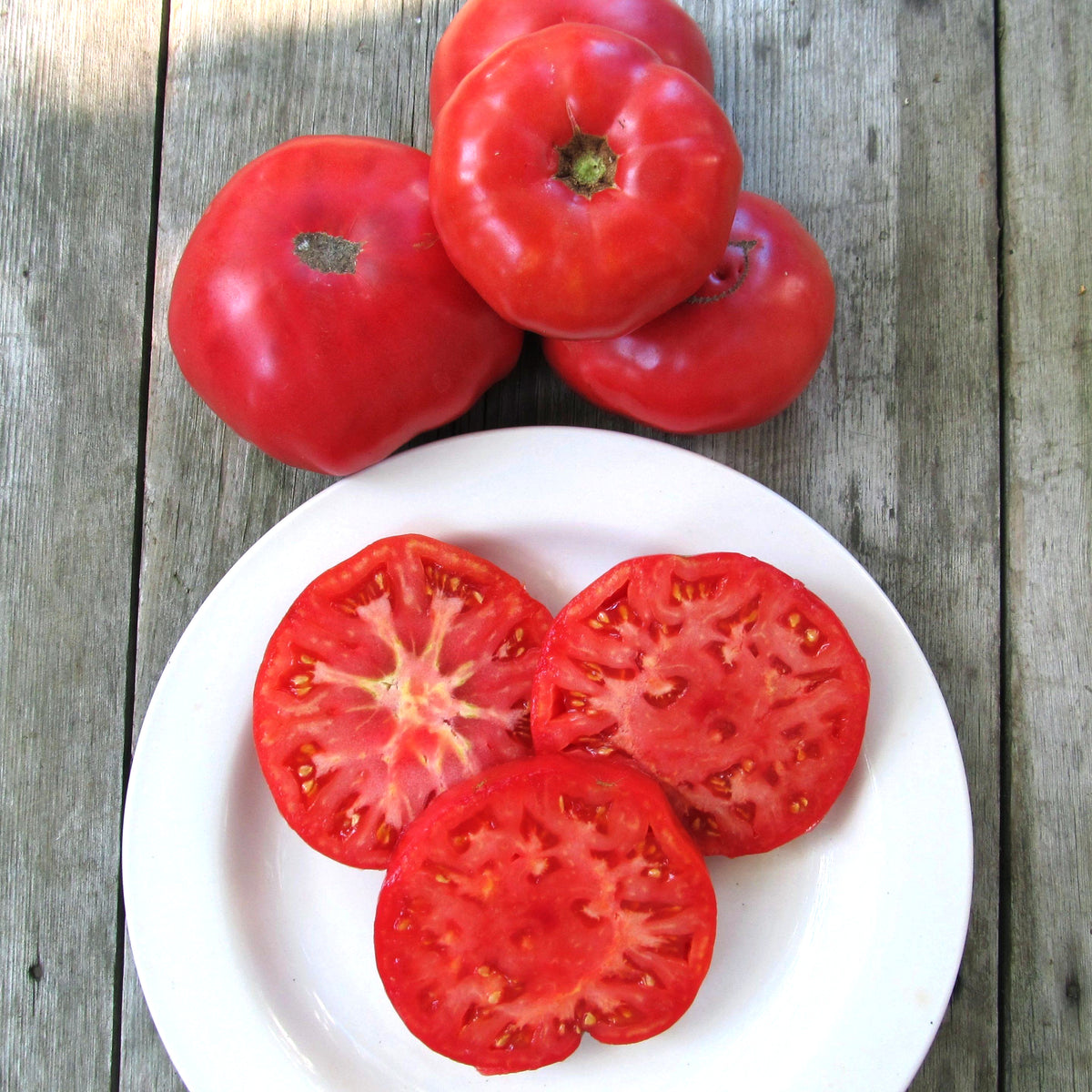 Fresh Mortgage Lifter Tomato from Hudson Valley Seed Co., showcasing its large, ripe red fruit on the plant.