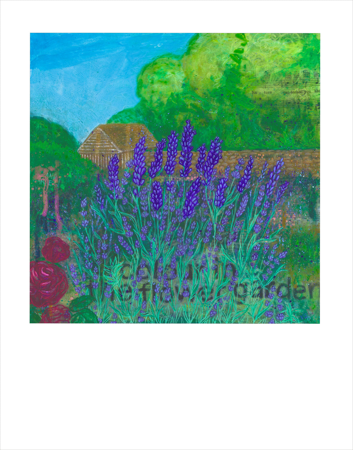 Fine art print of Munstead Lavender by Hudson Valley Seed Co., featuring vibrant lavender flowers in a detailed botanical illustration.