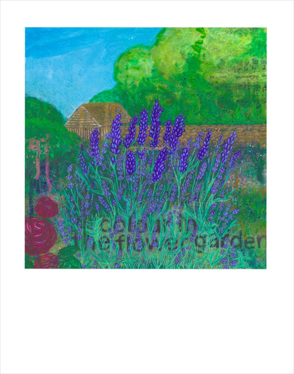 Fine art print of Munstead Lavender by Hudson Valley Seed Co., featuring vibrant lavender flowers in a detailed botanical illustration.