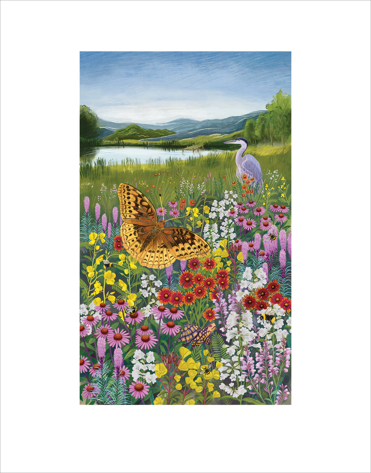Northeast Native wildflower art print by Hudson Valley Seed Co., fine art print showcasing native wildflowers in natural detail.