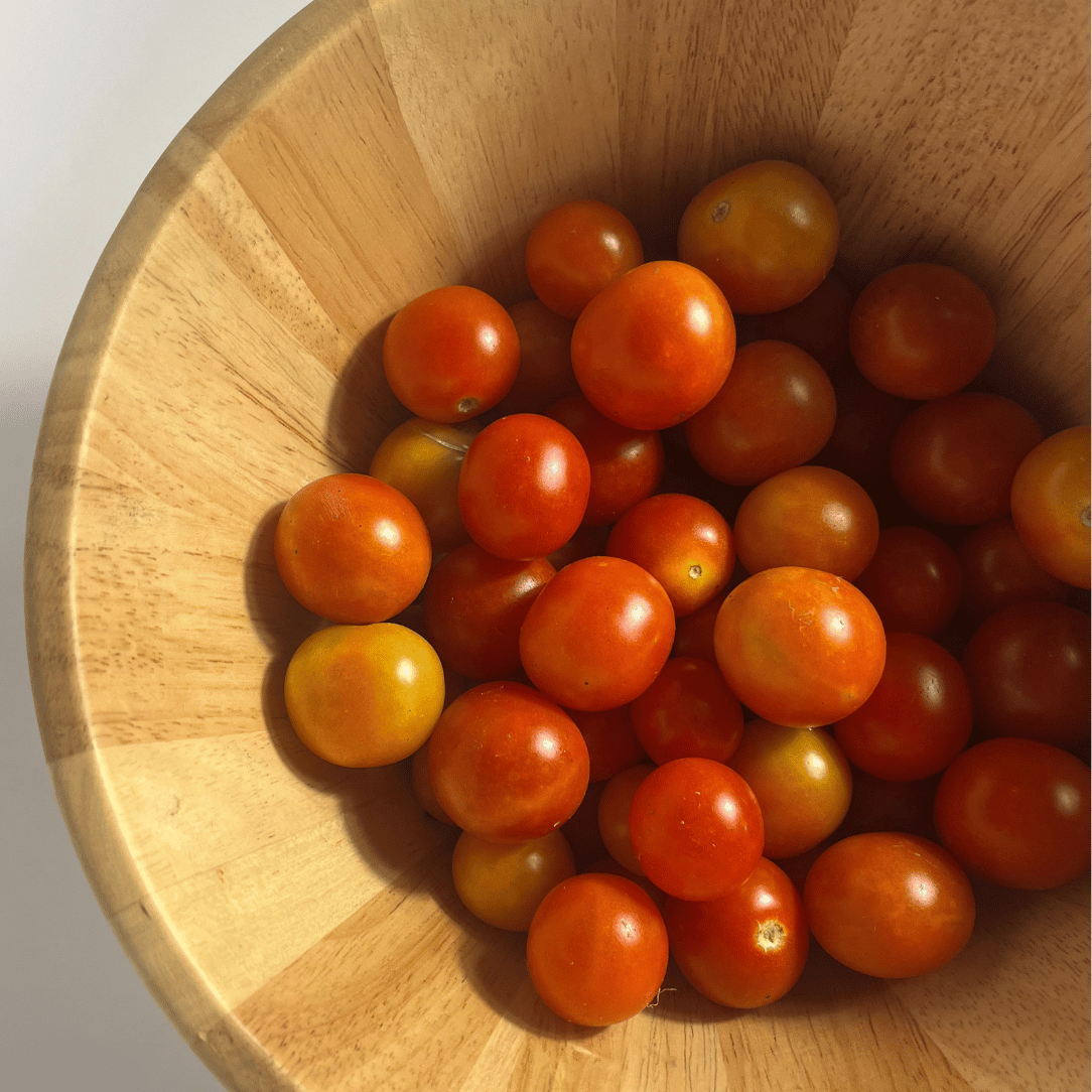 Peacevine tomato from Hudson Valley Seed Co., vibrant red heirloom vegetable with a round shape and lush green leaves.