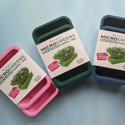 Hudson Valley Seed Co. microgreens starter kit with vegetable seeds and growing supplies for home sprouting and gardening.