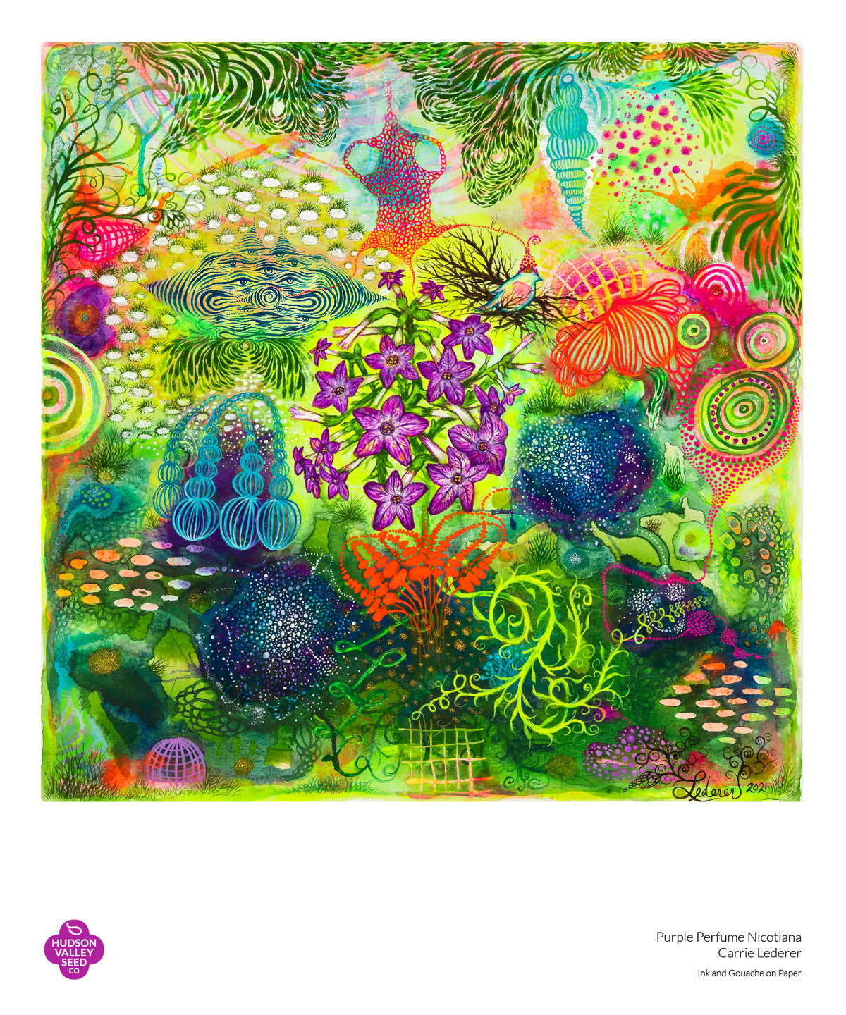 Purple perfume Nicotiana fine art poster by Hudson Valley Seed Co., featuring detailed botanical illustration of Nicotiana flowers.