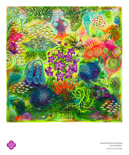 Purple perfume Nicotiana fine art poster by Hudson Valley Seed Co., featuring detailed botanical illustration of Nicotiana flowers.