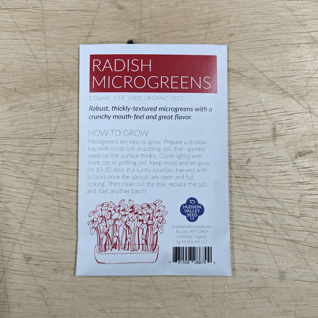 Fresh organic radish microgreens from Hudson Valley Seed Co., vibrant green vegetable microgreens on a white background.