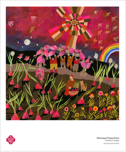 Red Long of Tropea Onion fine art poster by Hudson Valley Seed Co. featuring a detailed illustration of the red onion variety.