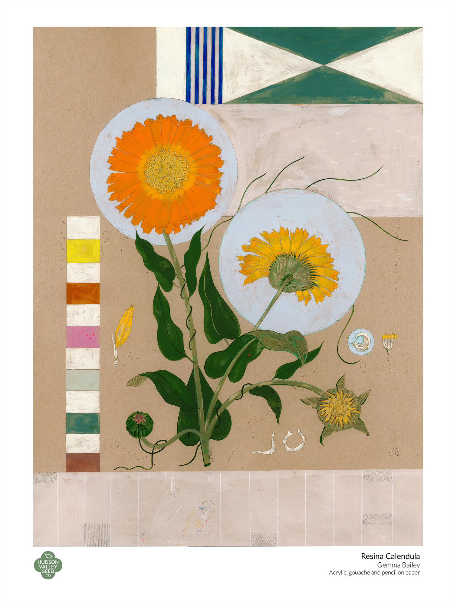 Resina Calendula Fine Art Poster
