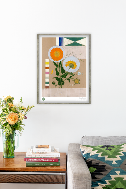 Resina Calendula Fine Art Poster