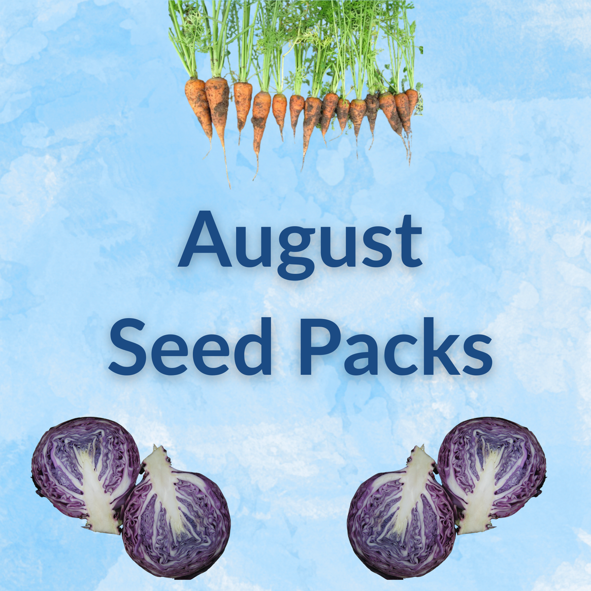 Hudson Valley Seed Company Sow by Month Bundle for August, featuring various vegetable and flower seeds in a colorful packet