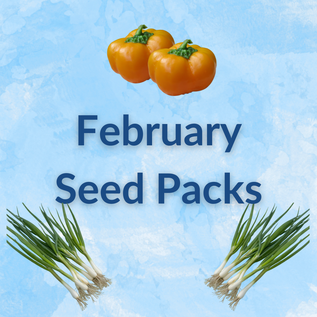 Bundle of February vegetable seeds from Hudson Valley Seed Company, featuring sow-by-month planting guide and seed packets.