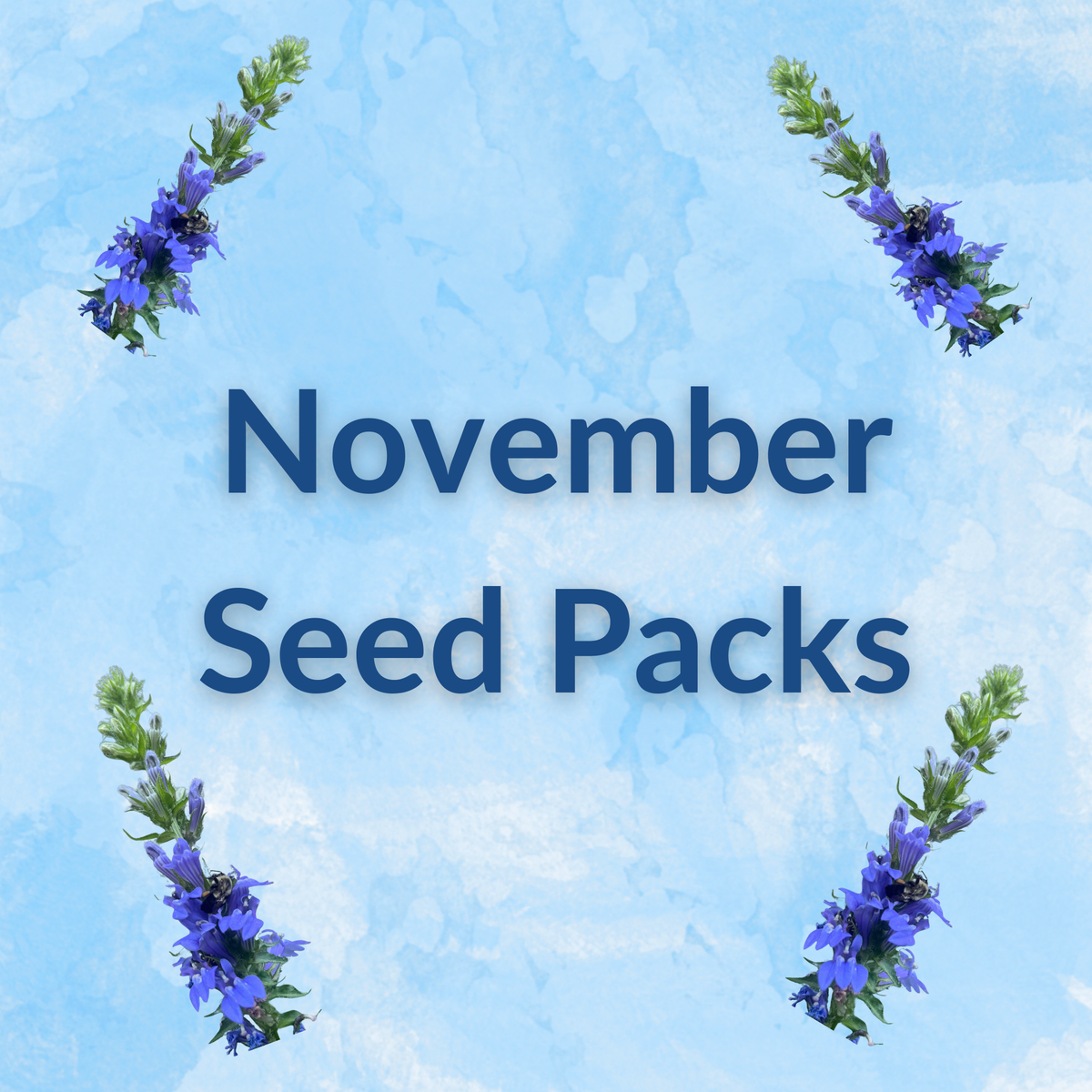 Hudson Valley Seed Company Sow by Month Bundle for November featuring seed packets for planting during this month.