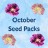 Hudson Valley Seed Company Sow by Month Bundle for October, featuring seed packets for planting this month.
