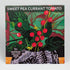 Sweet pea currant tomatoes on gray background, small round vegetables with vibrant red color and smooth skin.