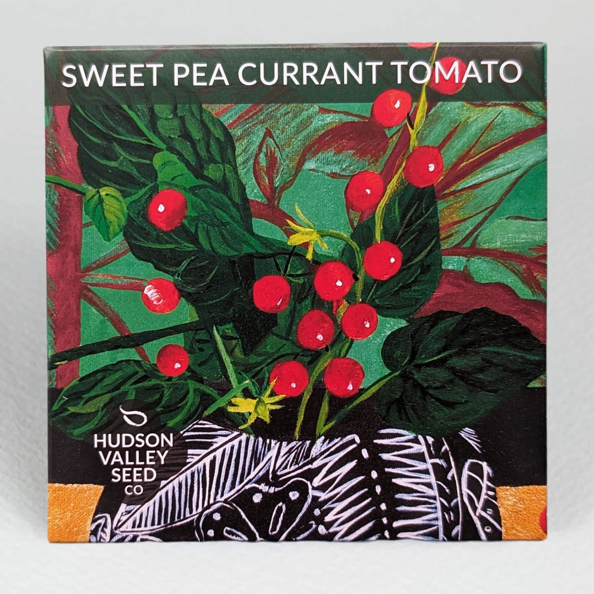 Sweet Pea Currant Tomato seedlings from Hudson Valley Seed Co. displayed against a gray background, showcasing healthy young vegetable plants.