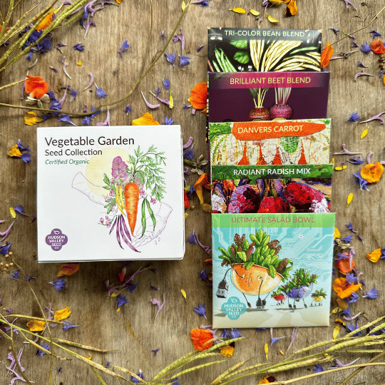 Assorted vegetable seeds from Hudson Valley Seed Co. including carrots, lettuce, tomatoes, and peppers in a colorful collection.