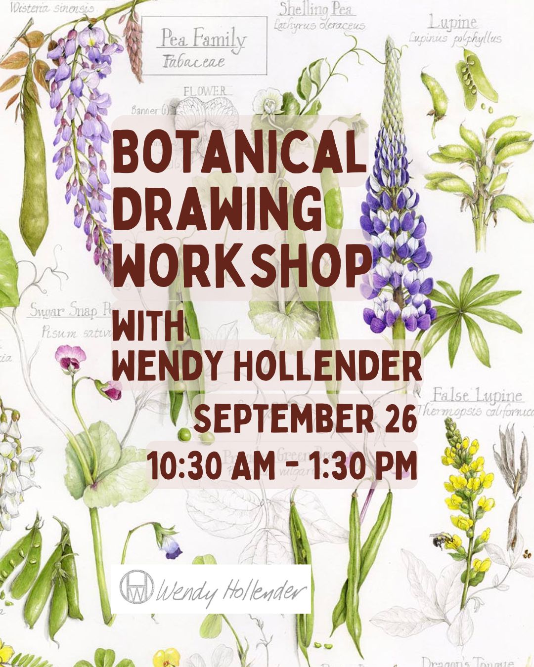Botanical drawing workshop with artist Wendy Hollender, featuring detailed floral illustrations and art supplies on a table.