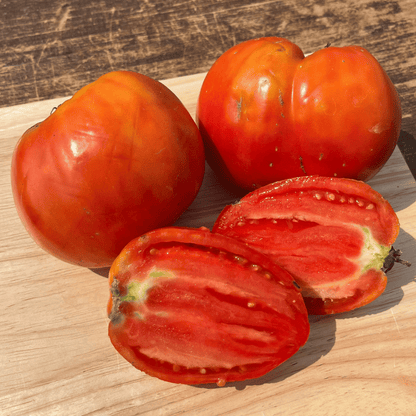 Fresh Amish Paste Tomato from Hudson Valley Seed Co., showcasing ripe, vibrant red vegetables perfect for cooking and sauces.