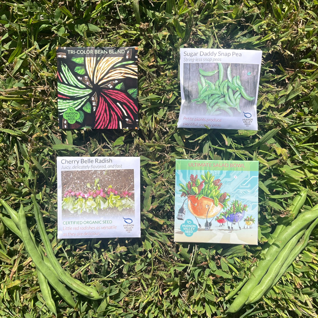 Beginners Veggie Garden Set with vegetable seeds from Hudson Valley Seed Company, ideal for starting a home vegetable garden.