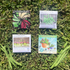 Beginners Veggie Garden Set with vegetable seeds from Hudson Valley Seed Company, ideal for starting a home vegetable garden.
