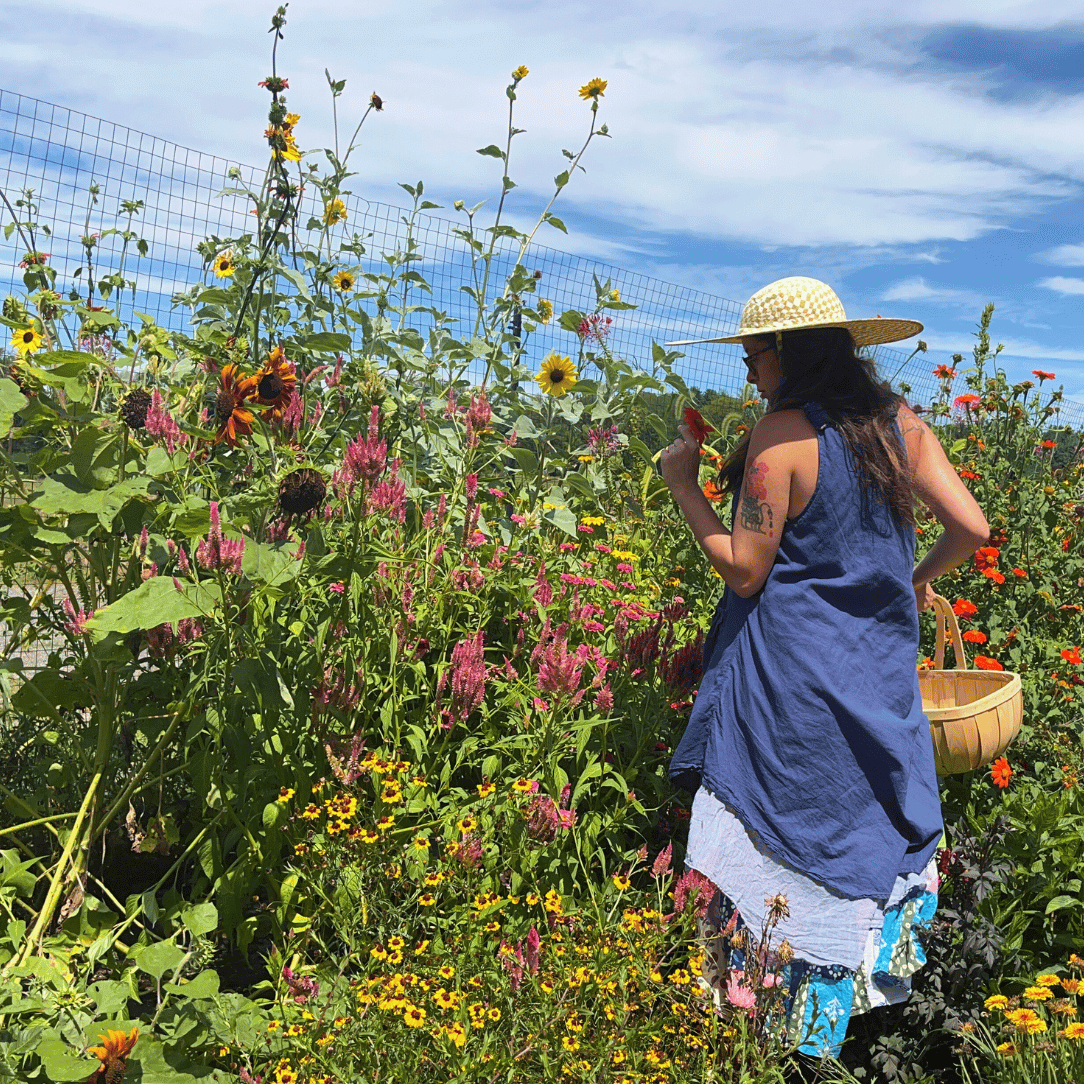 Cottage Garden Mix